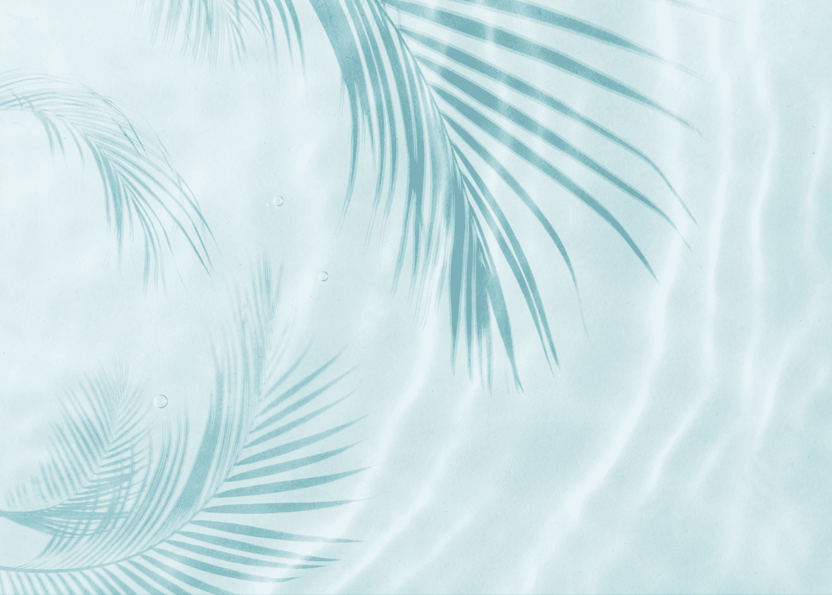 Palm tree shadow on a Blue water