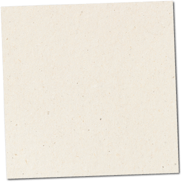 Paper texture cardboard background close-up. Cream light grunge old paper surface texture