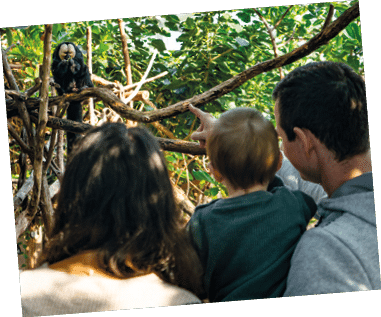 26.02.2023 --- Tiergarten --- Tiergartenbesuch am 26.02.2023 --- Foto: Tiergarten N rnberg / Tom Burger --- Besucher