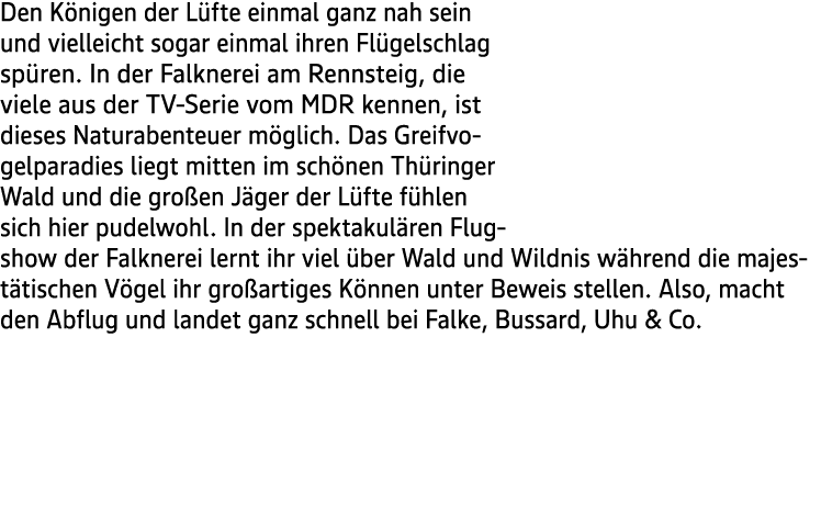 Den K nigen der L fte einmal ganz nah sein und vielleicht sogar einmal ihren Fl gelschlag sp ren. In der Falknerei am...