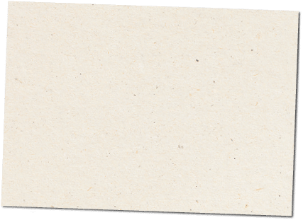 Paper texture cardboard background close-up. Cream light grunge old paper surface texture