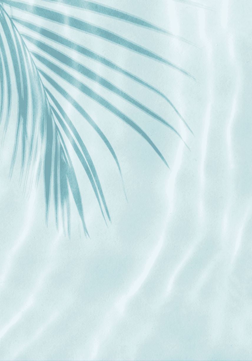 Palm tree shadow on a Blue water