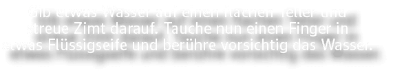 Gib etwas Wasser auf einen flachen Teller und streue Zimt darauf. Tauche nun einen Finger in etwas Fl ssigseife und b...